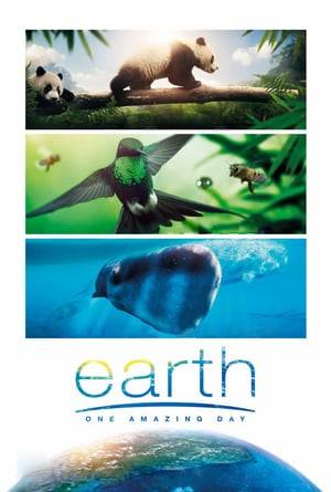 Earth: One Amazing Day (2017) tainies Online with greek subs Earth: One Amazing Day (2017) με ελληνικους υποτιτλους